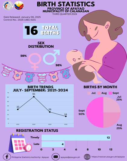 Birth Statistics Third Quarter 2024- Calanasan