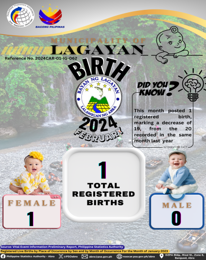 VITAL STATISTICS (BIRTH) February 2024 - Lagayan