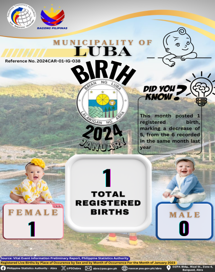 VITAL STATISTICS (BIRTH) January 2024 - Luba