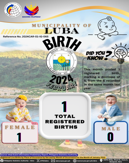 VITAL STATISTICS (BIRTH) February 2024 - Luba