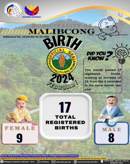 VITAL STATISTICS (BIRTH) February 2024 - Malibcong