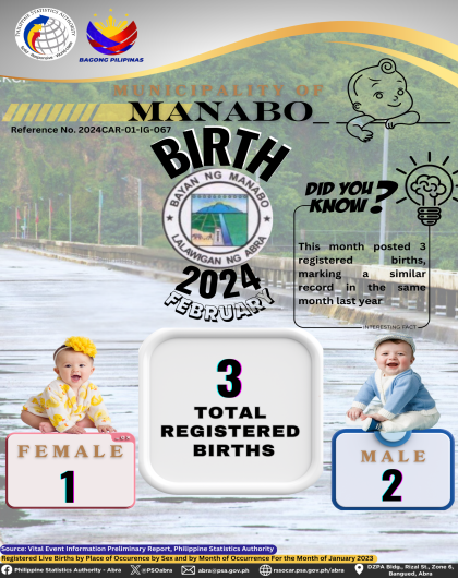 VITAL STATISTICS (BIRTH) February 2024 - Manabo