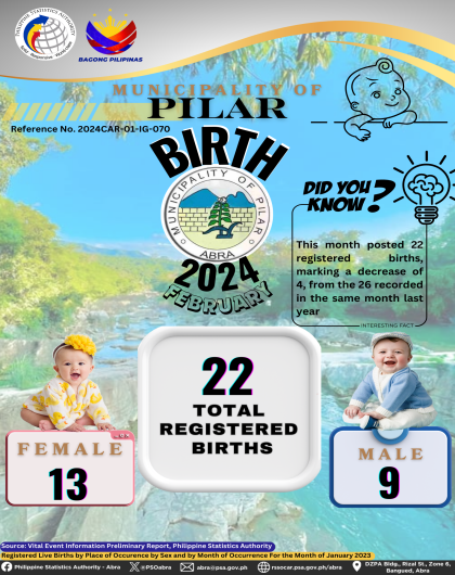 VITAL STATISTICS (BIRTH) February 2024 - Pilar