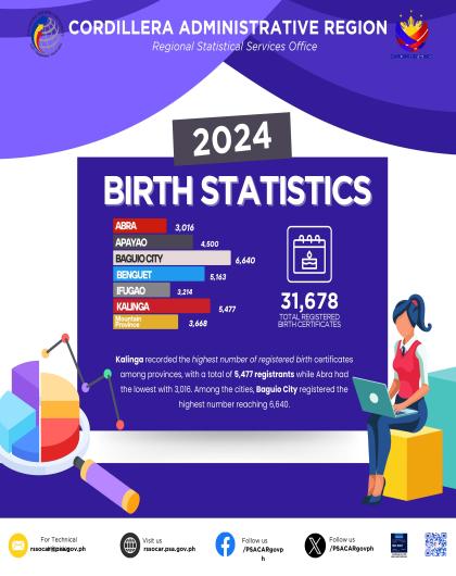 2024 Birth Statistics