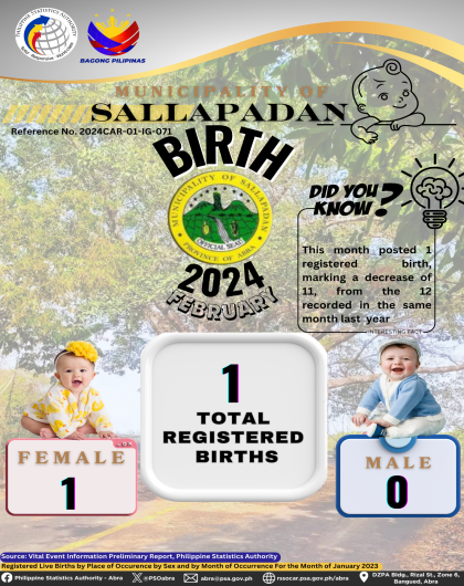VITAL STATISTICS (BIRTH) February 2024 - Sallapadan