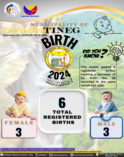 VITAL STATISTICS (BIRTH) January 2024 - Tineg