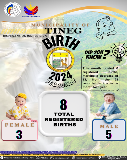 VITAL STATISTICS (BIRTH) February 2024 - Tineg