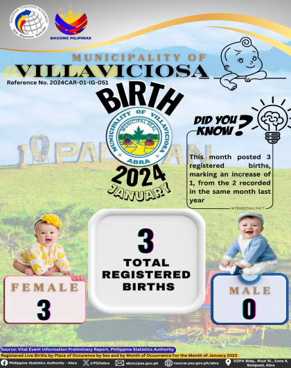 VITAL STATISTICS (BIRTH) January 2024 - Villaviciosa