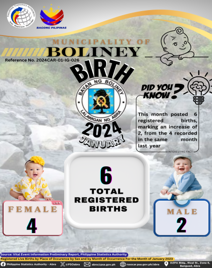 VITAL STATISTICS (BIRTH) January 2024 - Bangued