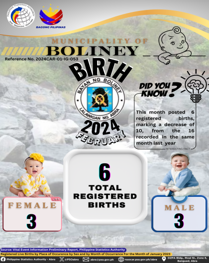 VITAL STATISTICS (BIRTH) February 2024 - Boliney