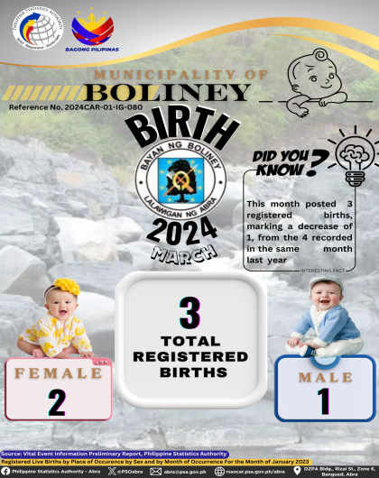 VITAL STATISTICS (BIRTH) March 2024 - Boliney