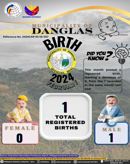 VITAL STATISTICS (BIRTH) February 2024 - Danglas