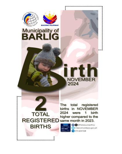 Barlig Birth Statistics November 2024