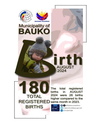 Bauko Birth Statistics August 2024