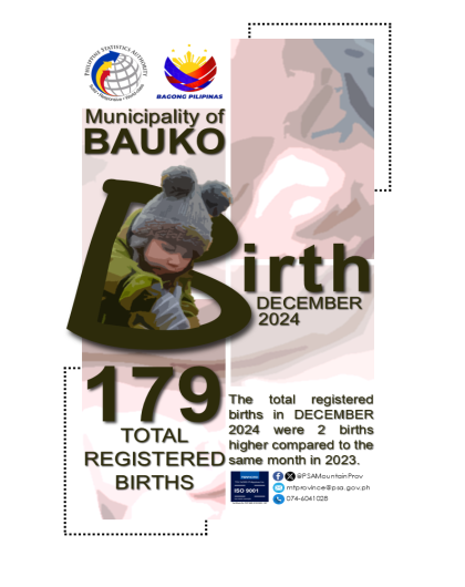 Bauko Birth Statistics December 2024