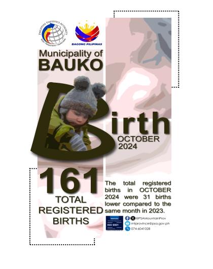 Bauko Birth Statistics October 2024