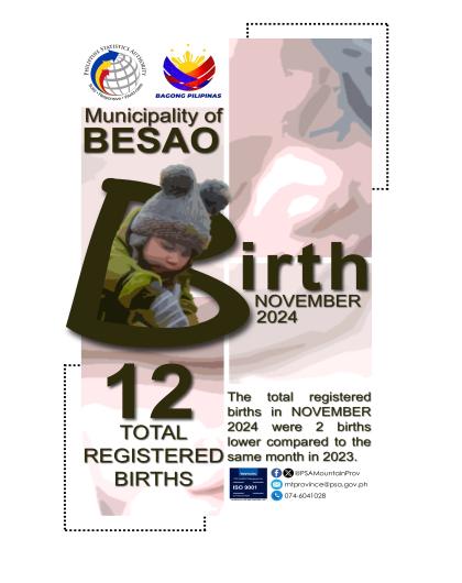 Besao Birth Statistics November 2024