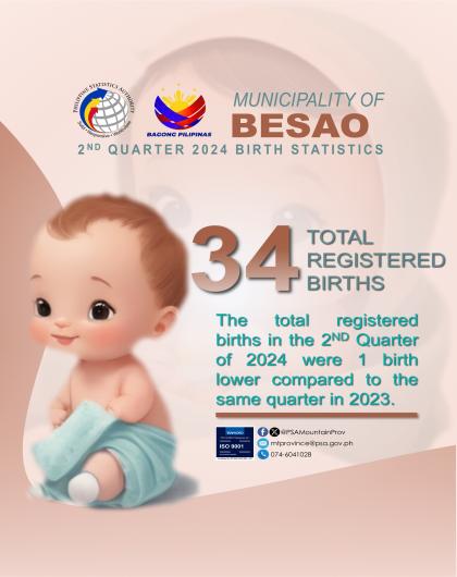 Besao Birth Statistics Quarter 2 2024