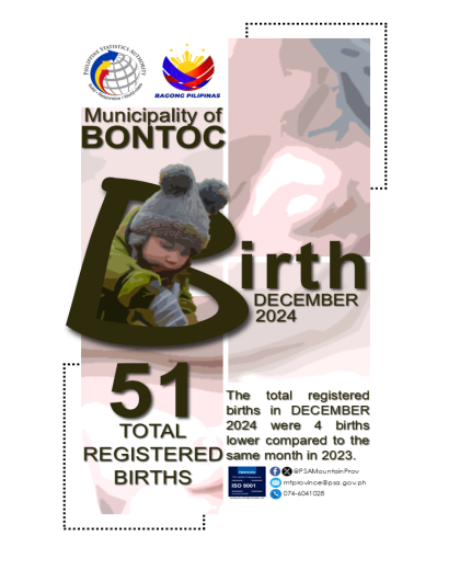 Bontoc Birth Statistics December 2024