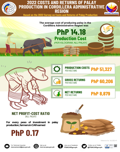 2020 Costs and Returns of Palay