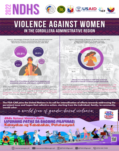 2022 NDHS Violence Against Women