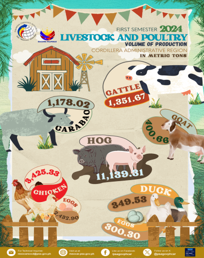 First Sem 2024 Livestock and Poultry Production in CAR