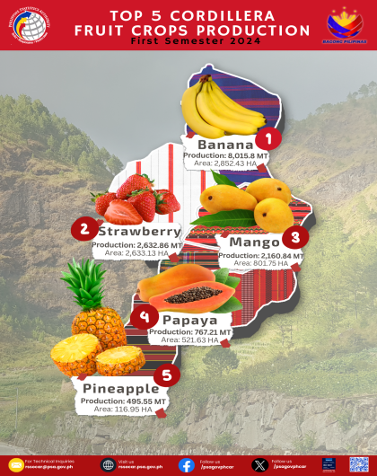 First Sem 2024 Top Five Fruit Crops Production in CAR