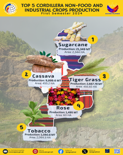 First Sem 2024 Top 5 Non-Food and Industrial Crops Production in CAR