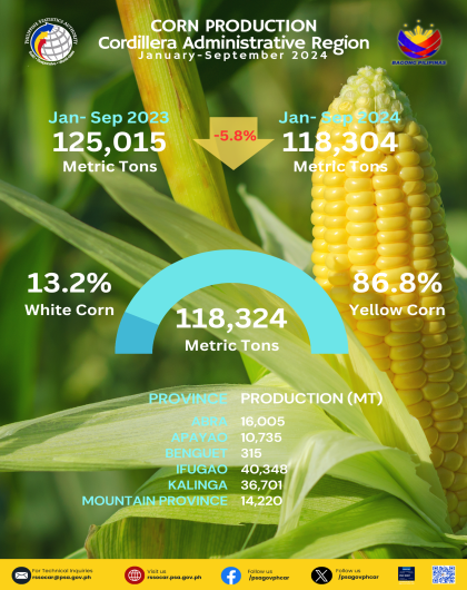 Corn Production January-September 2024 Cordillera Administrative Region