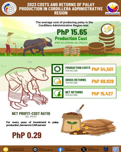 2023 Costs and Return of Palay Production in CAR