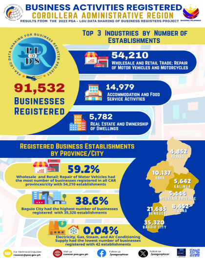 PLDS Business Activities Registered in CAR