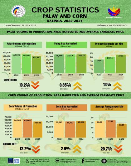 Crop Statistics for Palay and Corn: Kalinga, 2022-2024