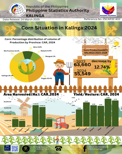 Corn Situation in Kalinga: 2024