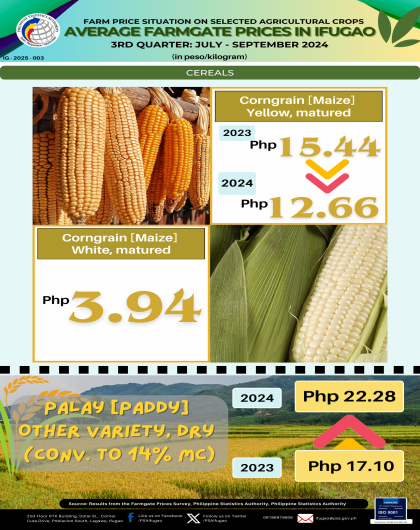 Farm Price Situation of Selected Agricultural Crops, Cereals, Ifugao, Q3 2024