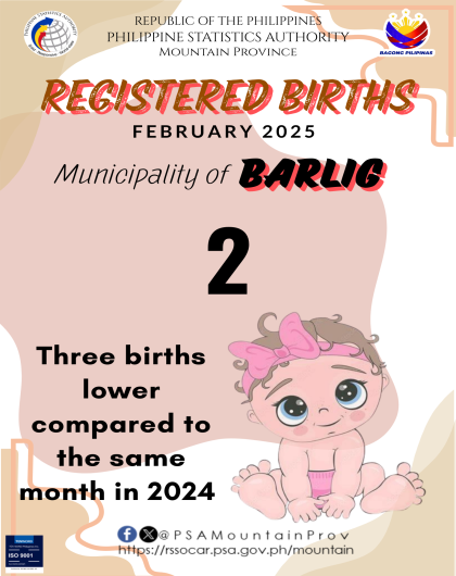 Barlig Birth Statistics February 2025