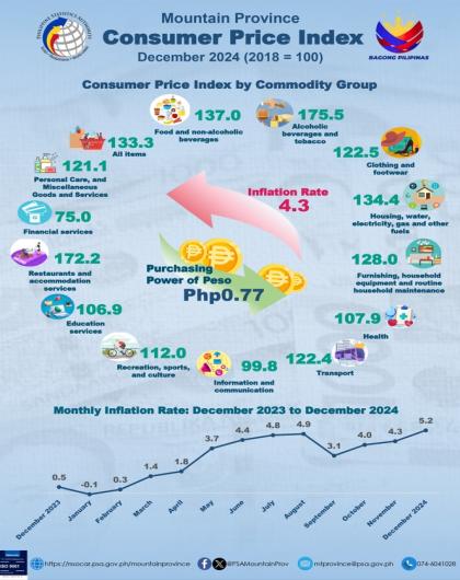 Consumer Price Index December 2024