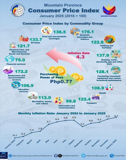 Consumer Price Index January 2025