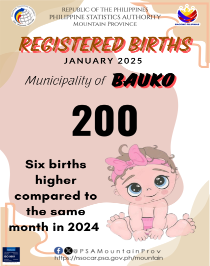 Bauko Birth Statistics January 2025