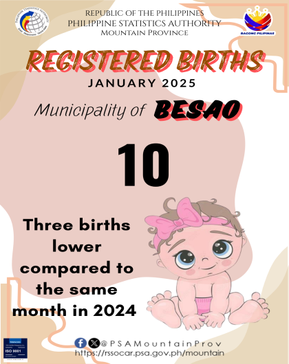 Besao Birth Statistics January 2025
