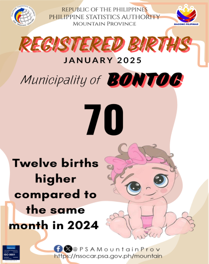 Bontoc Birth Statistics January 2025