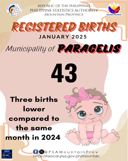Paracelis Birth Statistics January 2025