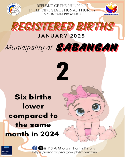 Sabangan Birth Statistics January 2025