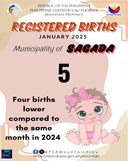 Sagada Birth Statistics January 2025