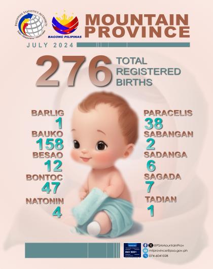 Mountain Province Birth Statistics July 2024