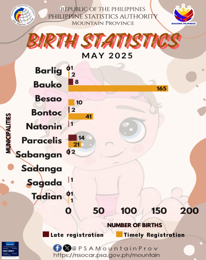 Mountain Province Birth Statistics May 2025