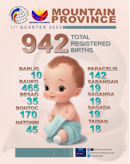 Mountain Province Birth Statistics Quarter 1 2024