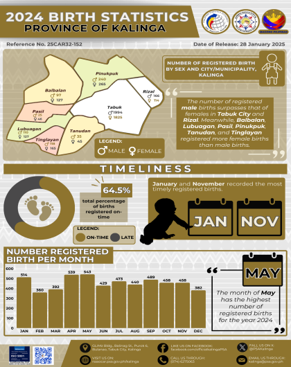 2024 Birth Statistics in Kalinga