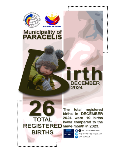 Paracelis Birth Statistics December 2024