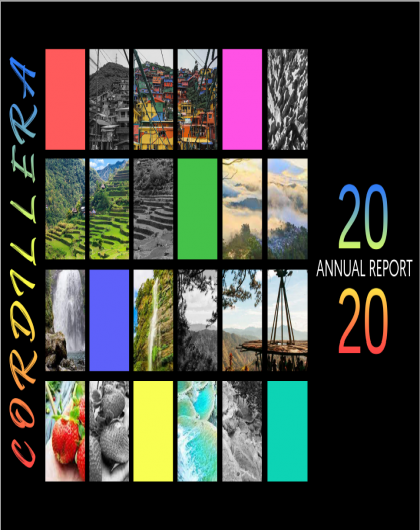 Annual Report 2020