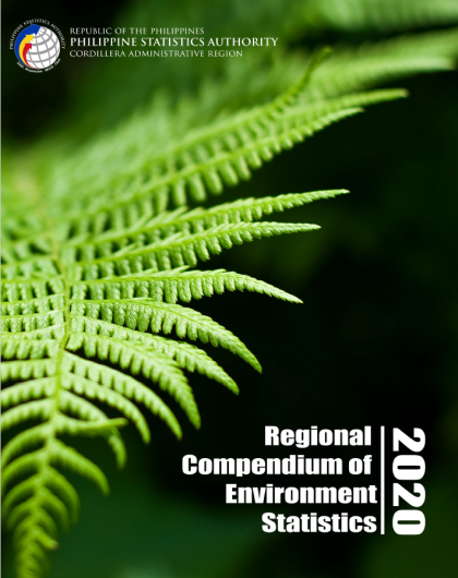 Regional Compendium of Environment Statistics 2020